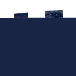 De’Longhi DLSC002, Filtro Acqua, Addolcitore e Purificatore per Macchine Automatiche Per Caffè in Chicchi