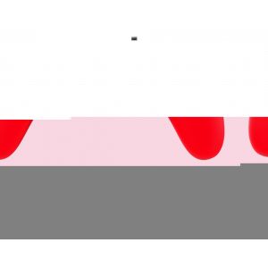NACON PS4OFCPADRED periferica di gioco Rosso USB Gamepad Analogico/Digitale PC, PlayStation 4