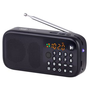 Trevi RADIO PORTATILE WIRELESS MP3 USB MICRO SD DR 7F40 BT