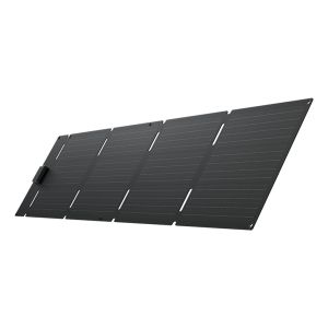 EcoFlow EFSOLAR60-TYPE-C pannello solare 60 W Silicone monocristallino