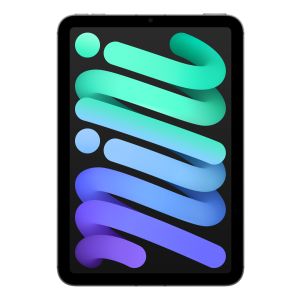 Apple iPad mini Wi-Fi + Cellular 128GB - Grigio Siderale