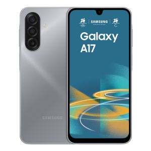 Samsung Galaxy A17 17 cm (6.7") Dual SIM ibrida 4G USB tipo-C 8 GB 256 GB 5000 mAh Grigio